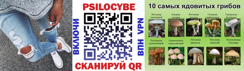 цена наркотик Щигры ОМГ ОМГ ССЫЛКА Псилоцибиновые грибы Psilocybe