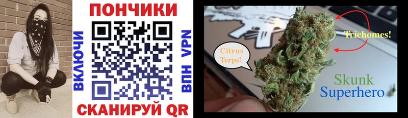 darknet как зайти  Щигры  Шишки марихуана VHQ 